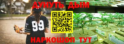 apvp Кинель
