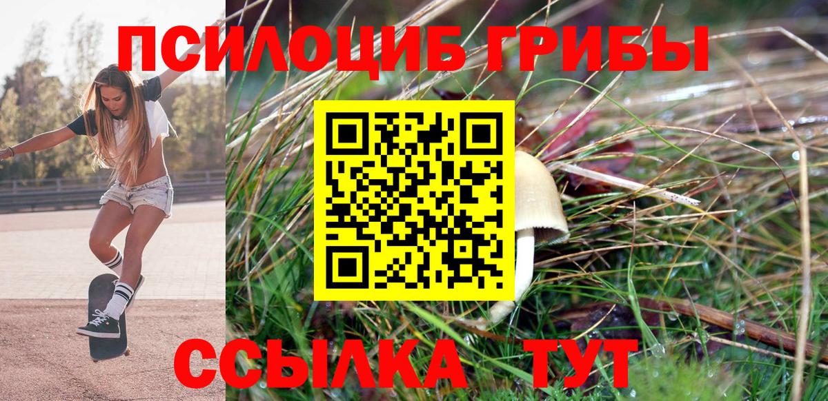 Галлюциногенные грибы мухоморы Касимов